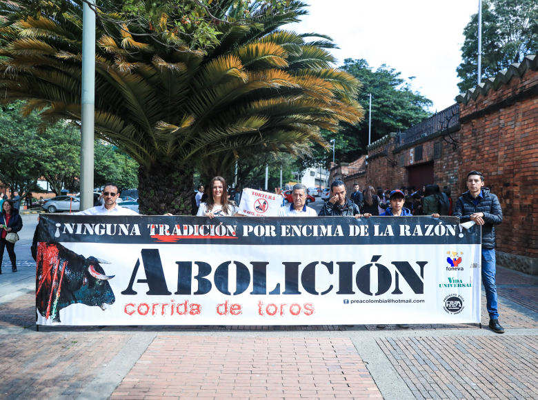 Grupos animalistas anunciaron en Bogotá medidas para desincentivar las corridas de toros en la ciudad.