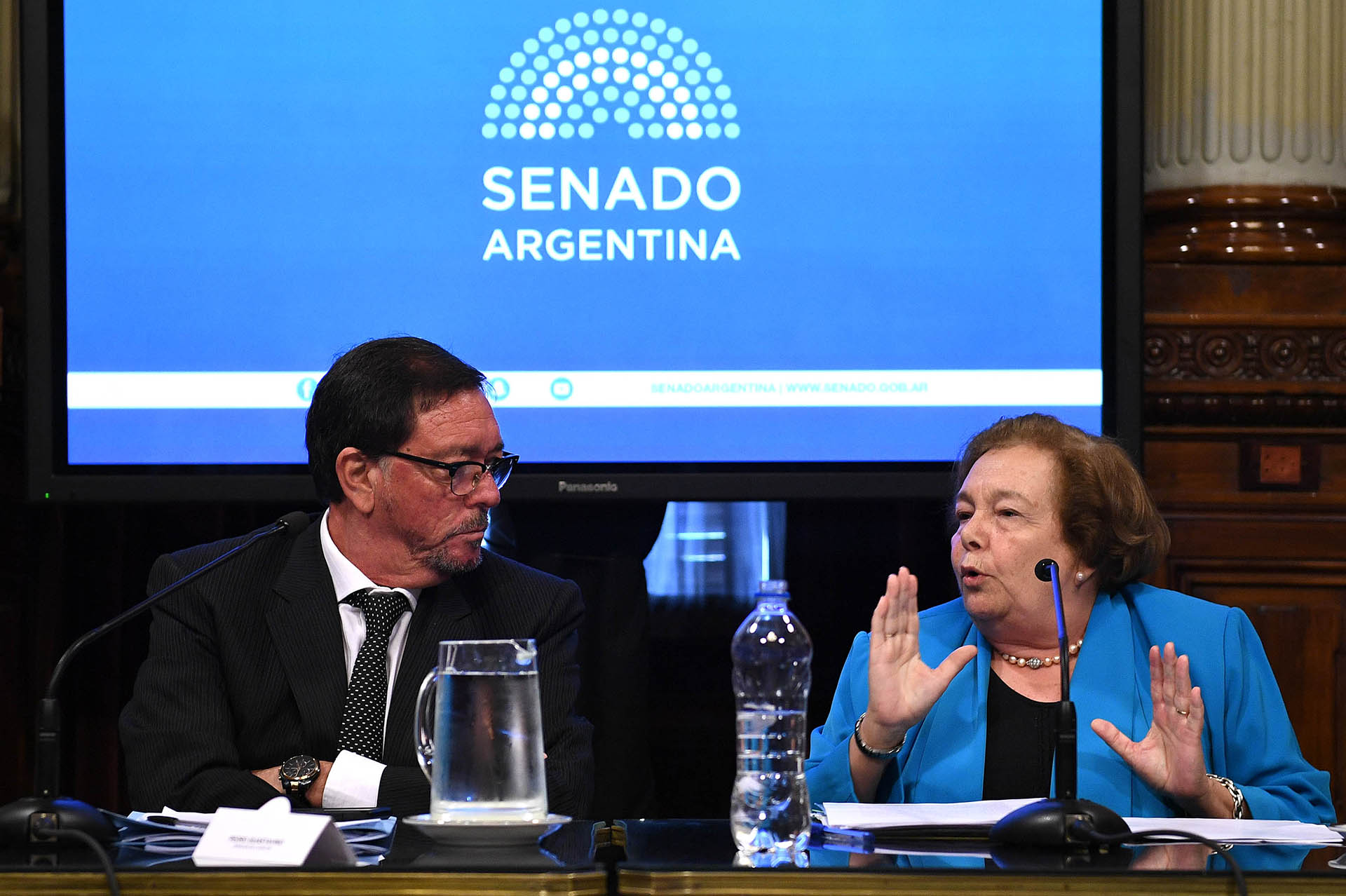 La defensora General de la Nacion, Stella Maris Martinez