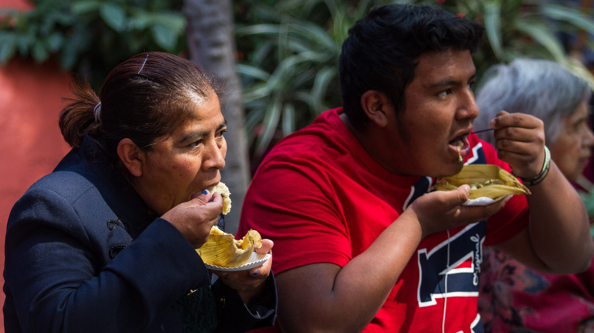 Los tamales son un alimento muy solicitado en está época del año, en que se celebra el día de la Candelaria (Foto: Isaac Esquivel/ Cuartoscuro)