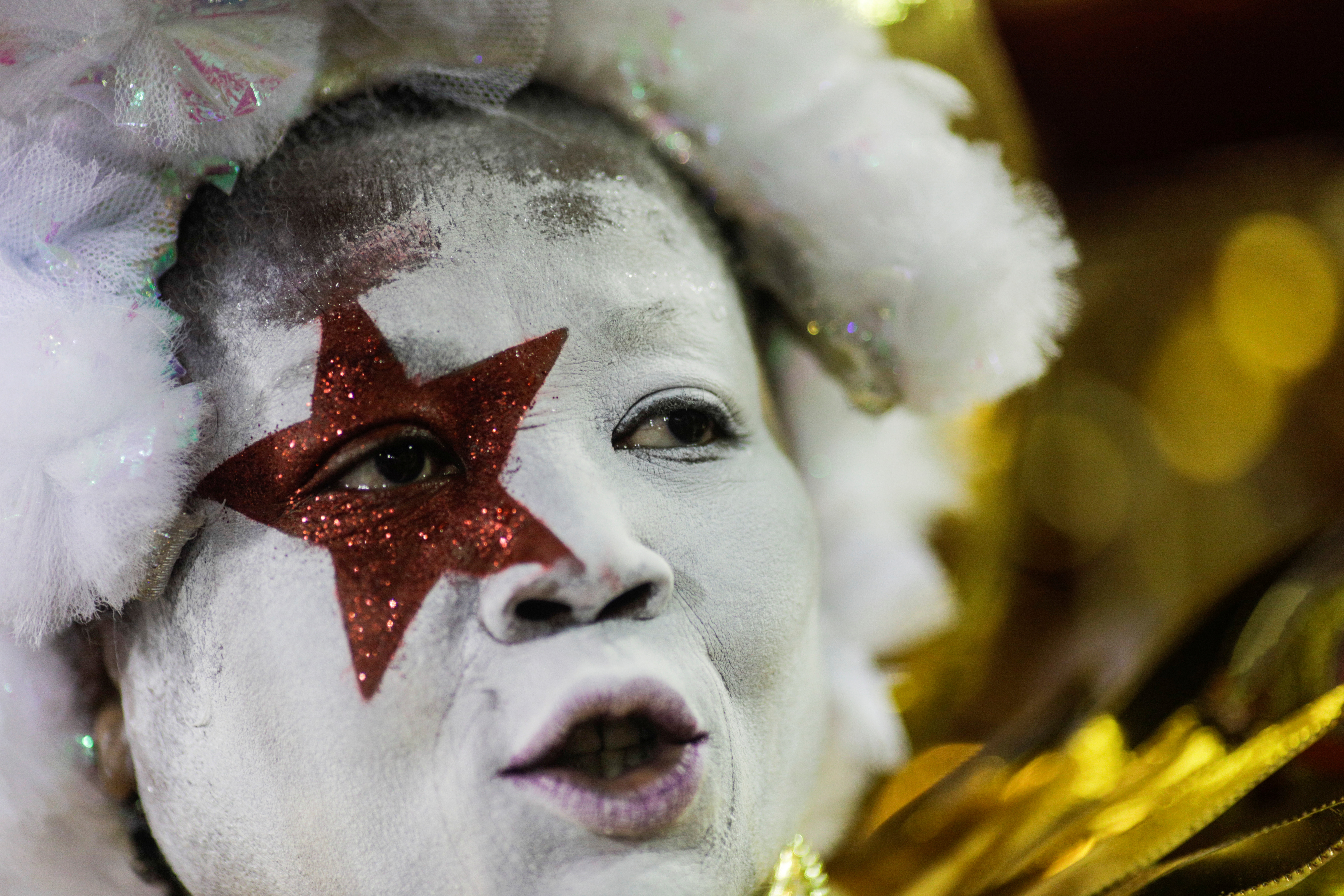 Salgueiro samba school REUTERS/Ricardo Moraes