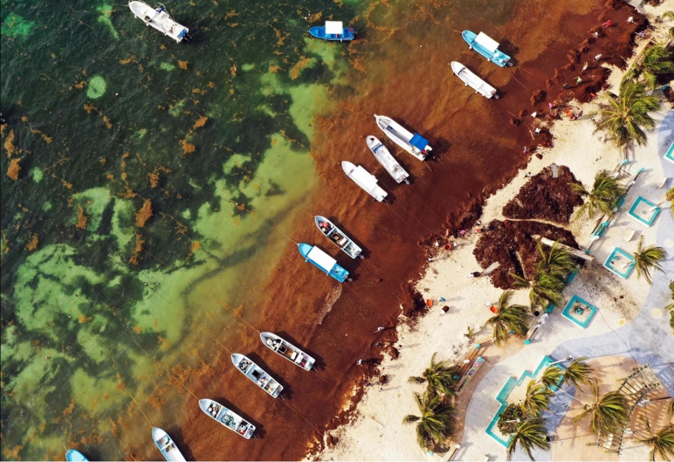Vista aérea de los esfuerzos de remoción de sargazo en Puerto Morelos, Quintana Roo. (Foto: Rodrigo Arangua/Agence France-Presse — Getty Images)