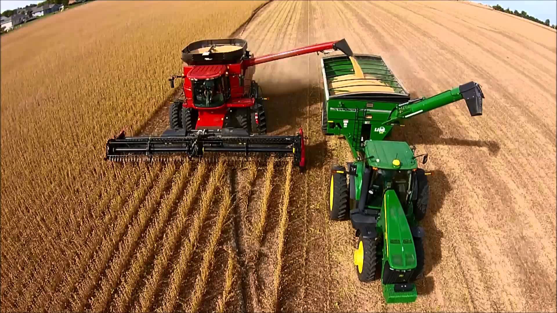 Los exportadores agrícolas liquidron en octubre un 51% más de divisas que en el mismo mes de 2018