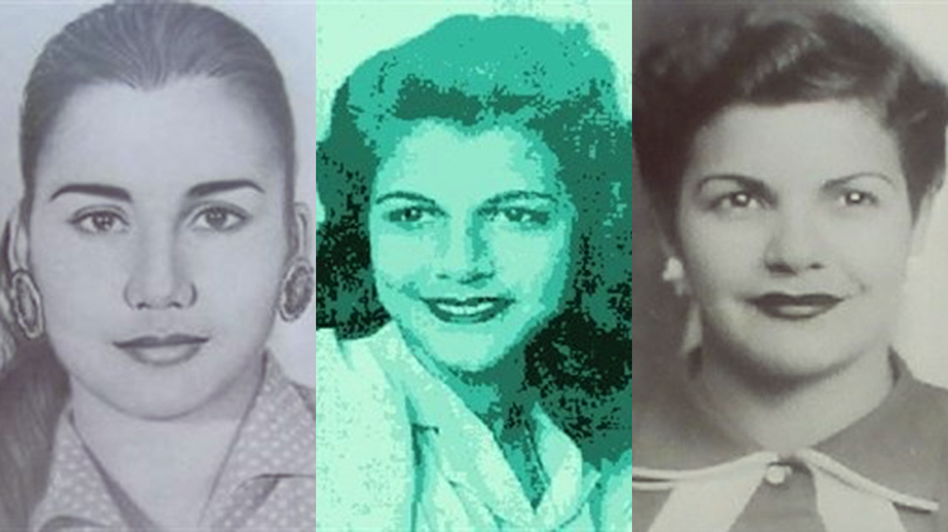 En 1981, durante el Primer Encuentro Feminista Latinoamericano y del Caribe, se declaró que el 25 de noviembre se instituyera como el Día Internacional de No Violencia contra las Mujeres