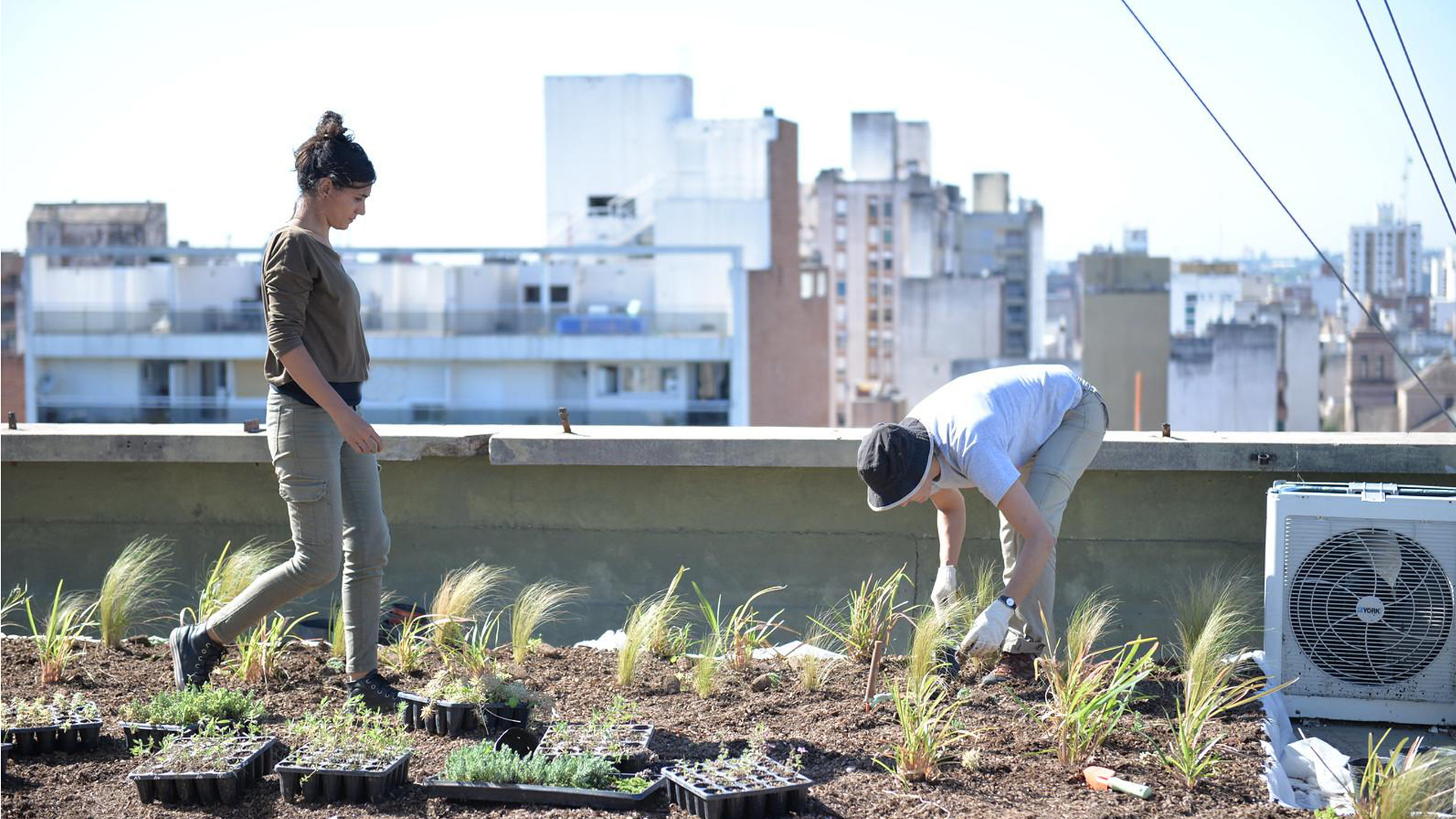 Los holders y grupos de interés también buscan la información relacionada con el trabajo que llevan adelante las distintas firmas en lo pertinente a sustentabilidad. Foto: Archivo DEF.