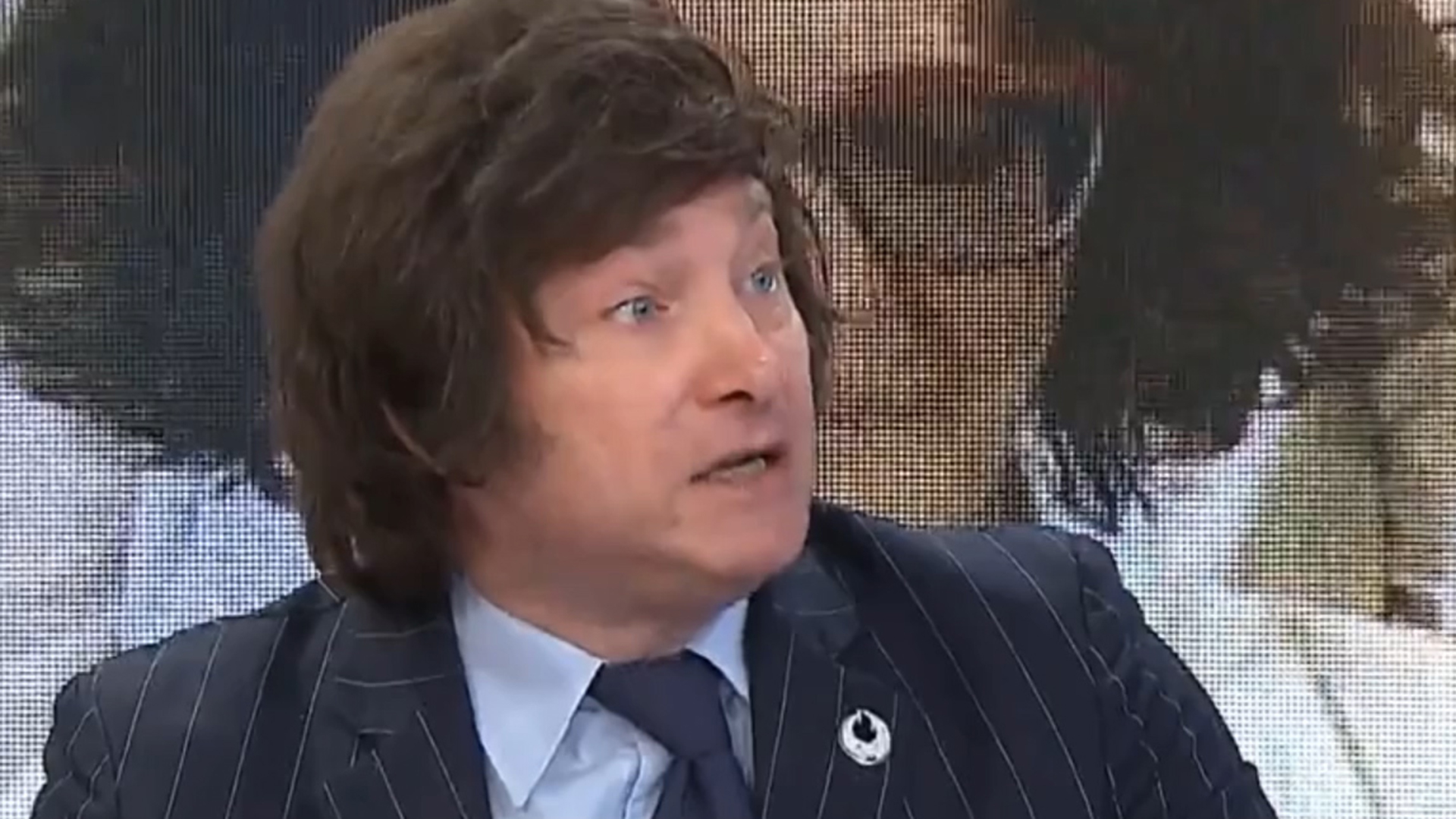 "Es un error técnico grosero, derivado de la formación de raiz keynesiana de la mayoría de los consultados", Javier MIlei