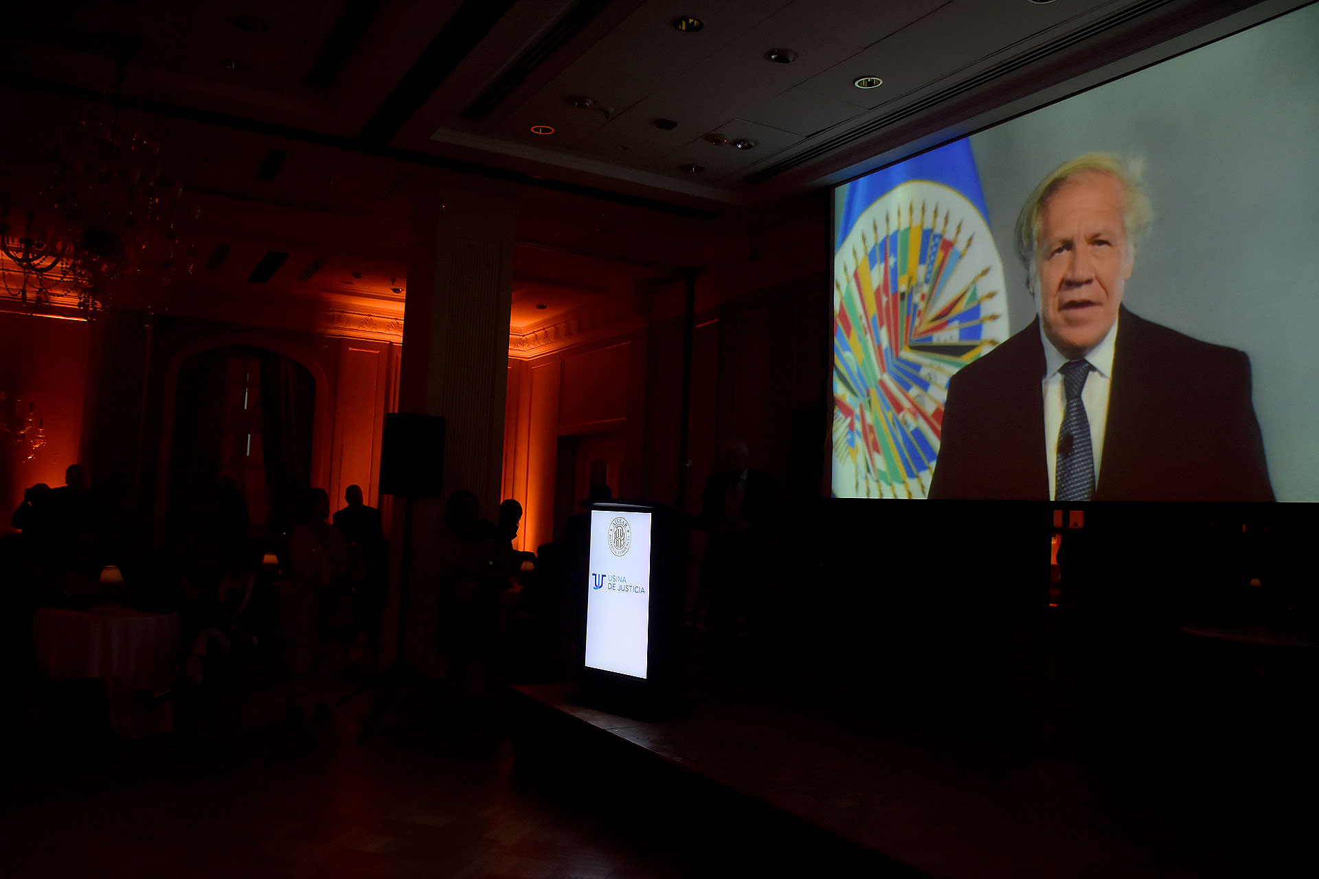 Las palabras de Luis Almagro Lemes, secretario general de la OEA, quién iba a recibir el premio y no pudo presenciar la ceremonia ya que debió asistir a un encuentro por el Tratado Interamericano de Asistencia Recíproca (TIAR), en Nueva York