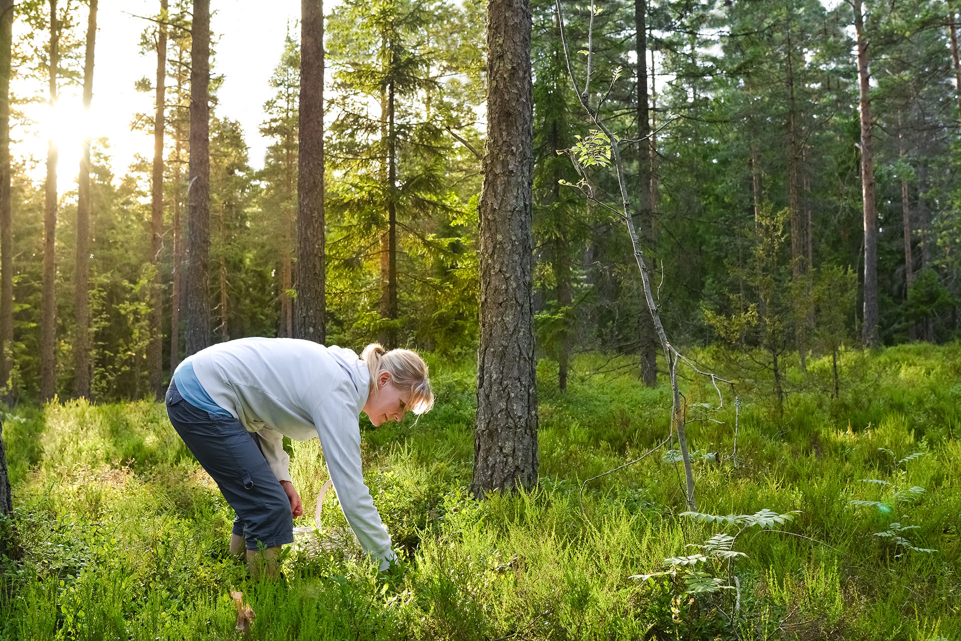 Finlandia, cuyo nuevo gobierno está dirigido por mujeres, obtuvo un puntaje de 9.3 en igualdad de género. La igualdad de ingresos fue un 8.1 relativamente alto, aunque una disminución con respecto al 9.6 de 2019