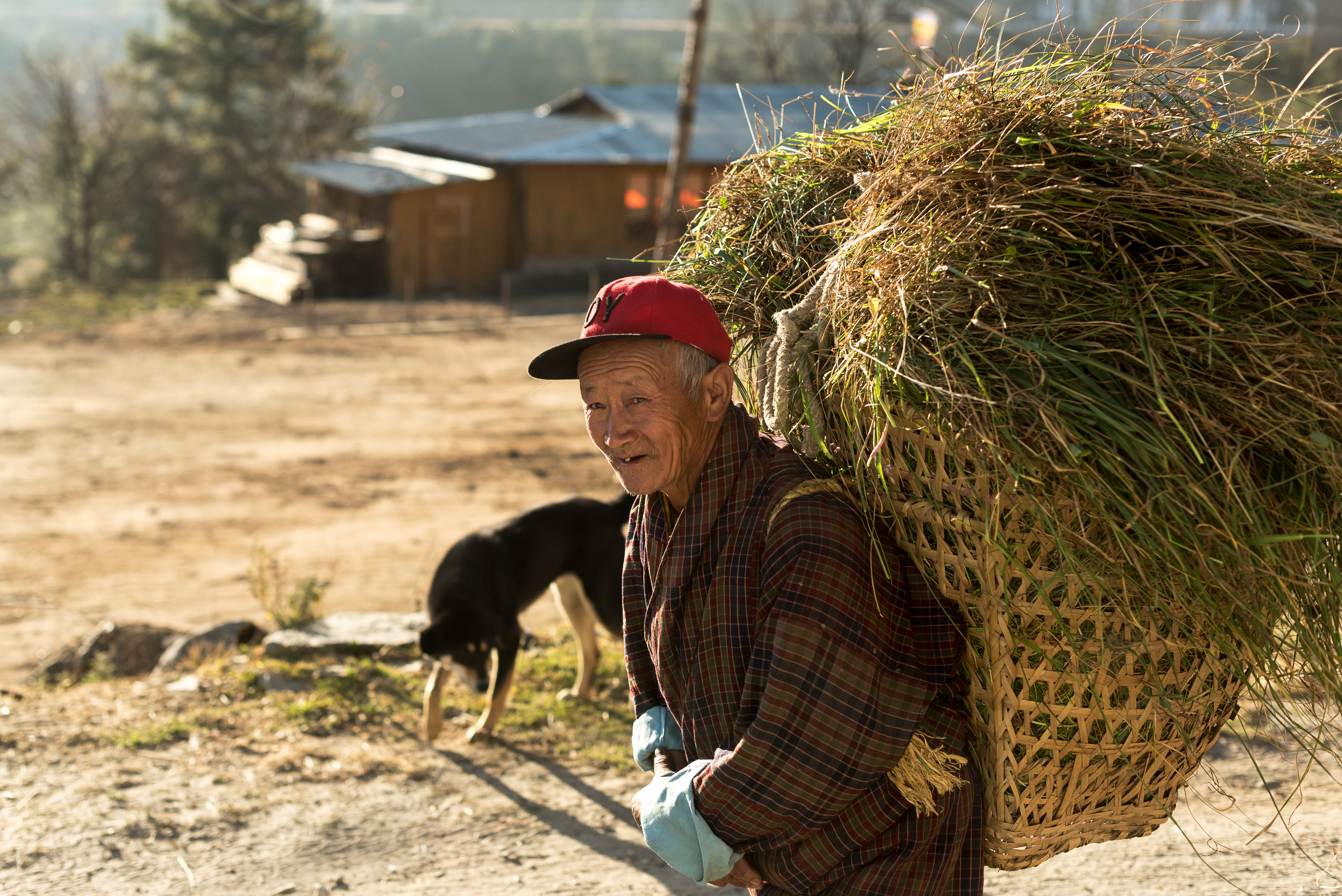 Gran parte de los butaneses viven de la agricultura, y a pesar de realizar tareas pesadas, lo viven con gratitud