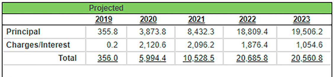 La proyección de ingresos del FMI por repagos de los países deudores, en millones de "Derechos Especiales de Giro", DEG. su unidad de cuenta. Un DEG equivale a 1,38 dólares. El calendario de pagos argentino tiene un peso muy fuerte en esas proyecciones.
