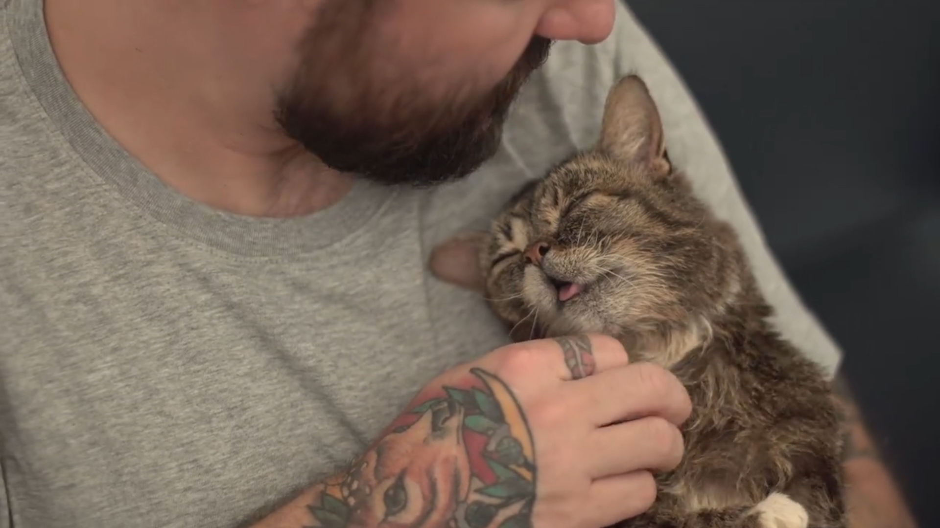 El enanismo que caracterizó a Lil Bub, nunca fue impedimiento para que ayudara a apoyar diferentes causas a favor de animales callejeros (Foto: Facebook Lil Bub).