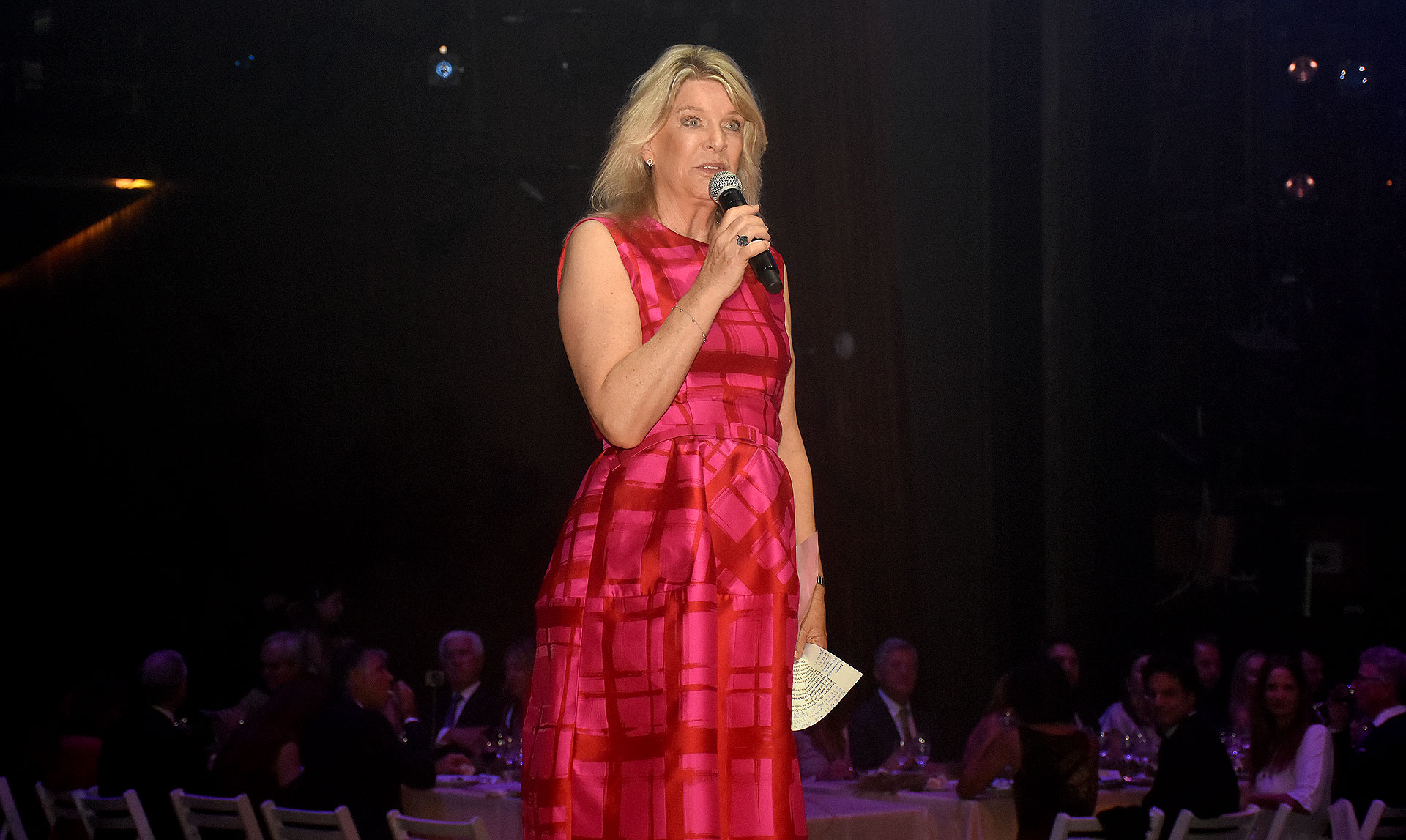 Eva Thesleff de Soldati, presidente de la Fundación Amigos del Teatro San Martín, durante su discurso. En los últimos años, la Fundación llevó delante importantes obras en beneficio del Complejo Teatral y la Ciudad de Buenos Aires, con el objetivo de preservar el acervo cultural y dar estímulo a jóvenes de todo el país: la Escuela de Oficios Teatrales, el Centro de Vestuario Teatral, la puesta en valor del Teatro de la Ribera y la entrega de becas a jóvenes bailarines son algunas de sus iniciativas