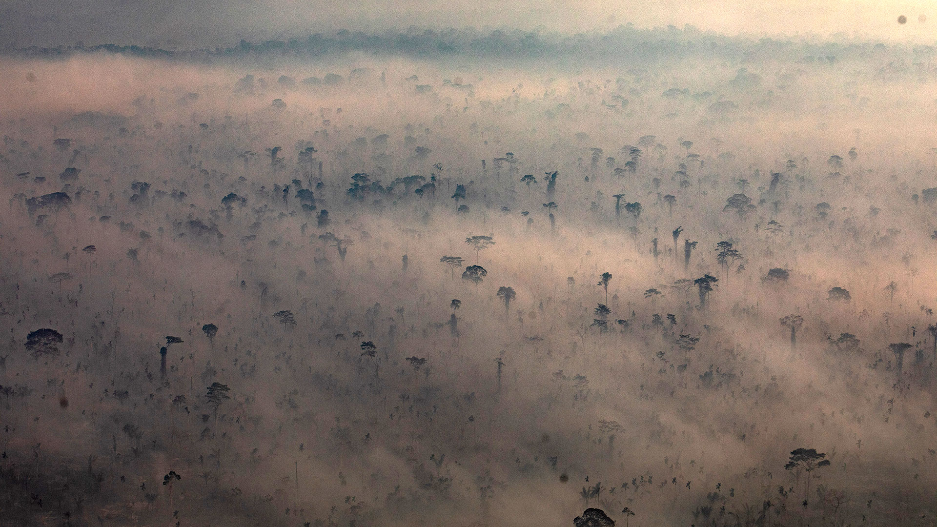Imagen de los incendios en el Amazonas