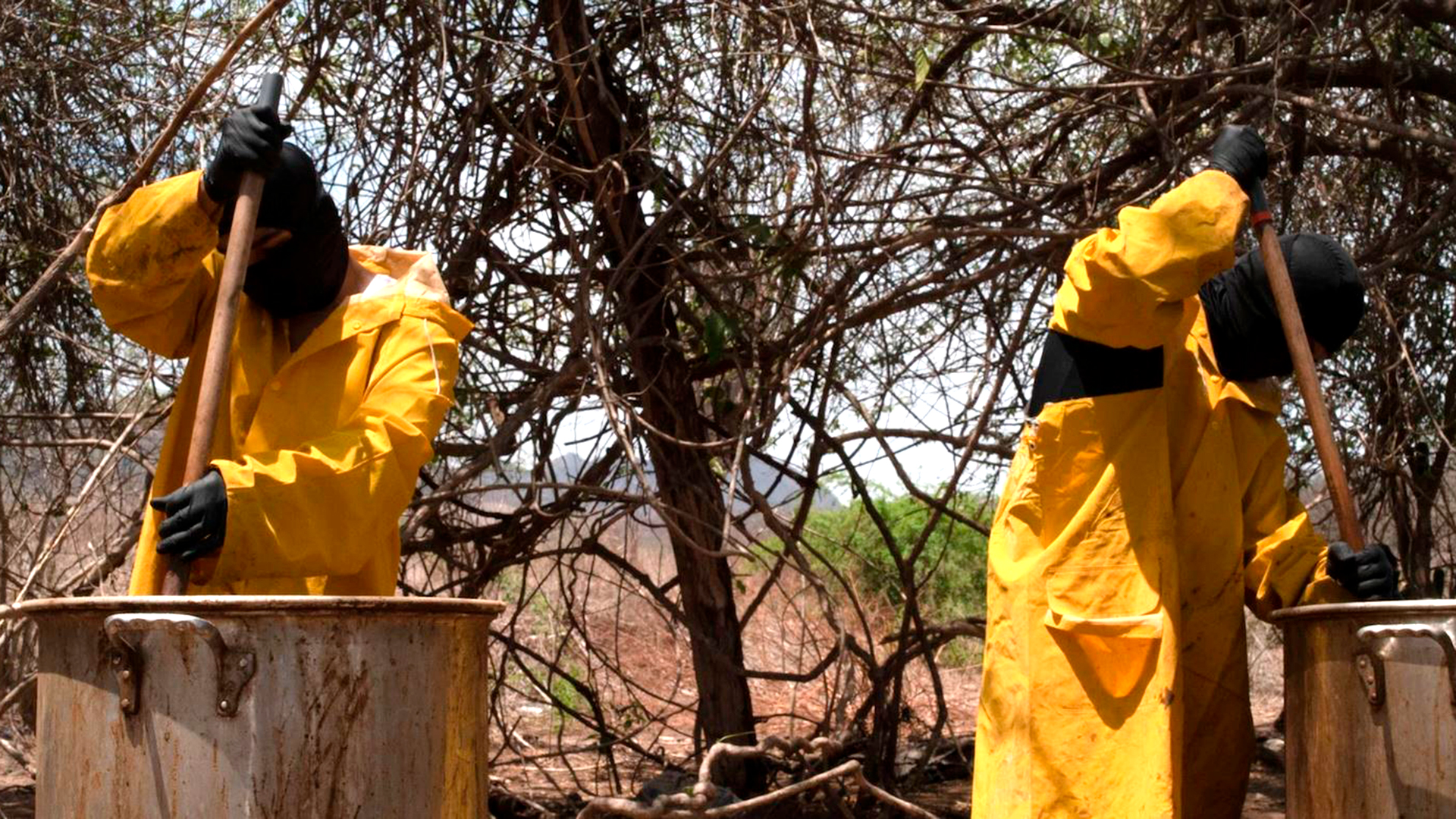 La producción de fentanilo del Cártel de Sinaloa continúa a pesar de los límites de la pandemia mundial de coronavirus (Foto: Archivo)