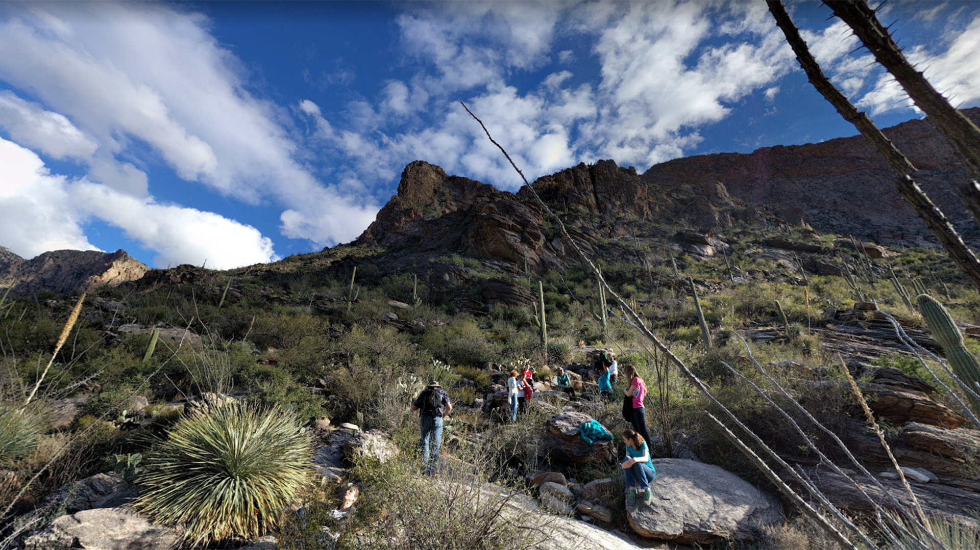 El sendero del Cañón de Pima