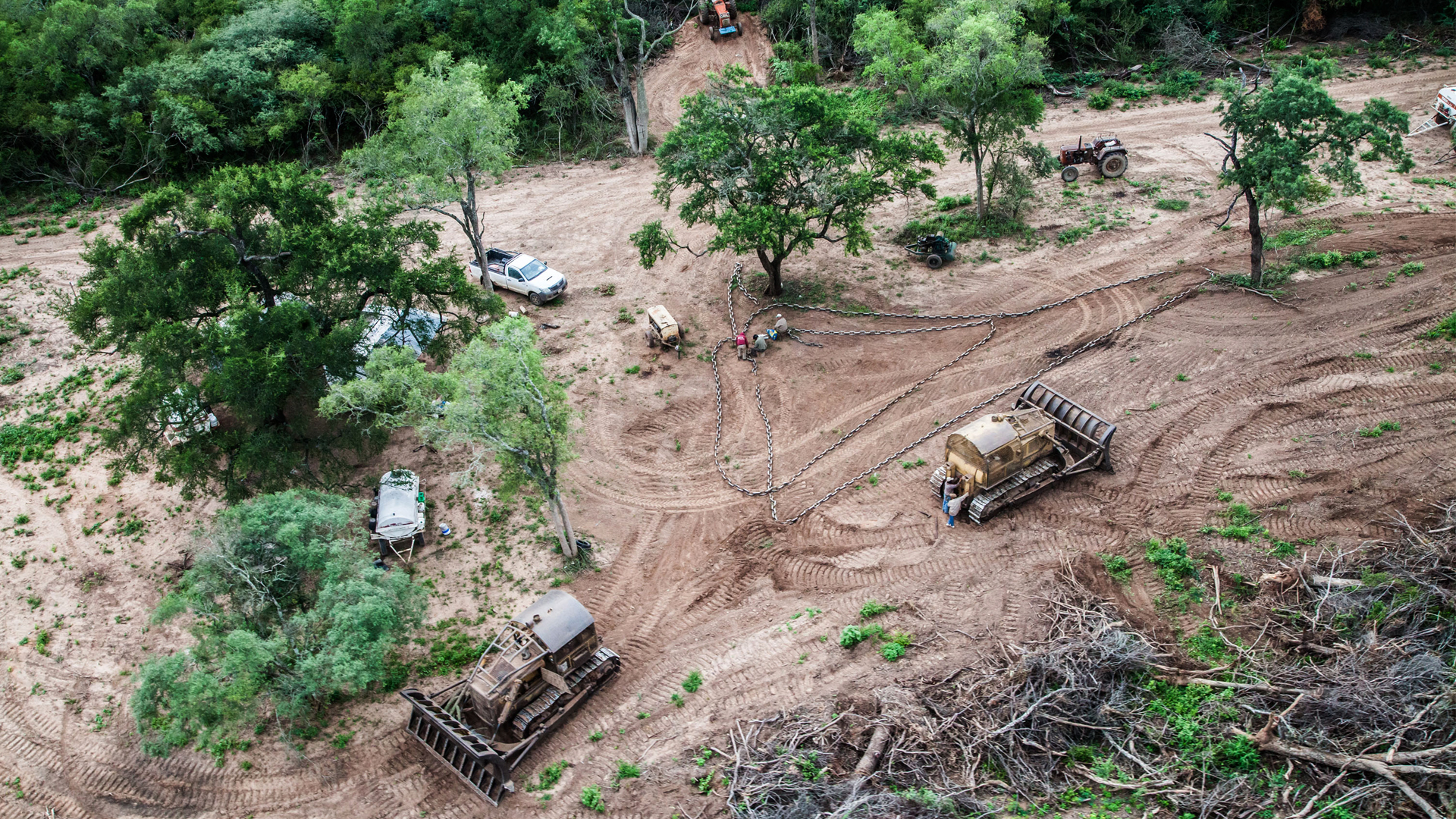 Para la directora de FARN, Argentina tiene la Ley de Bosques para revertir el avance de la deforestación pero necesita mayores niveles de compromiso político y recursos. Foto: Gentileza Greenpeace.
