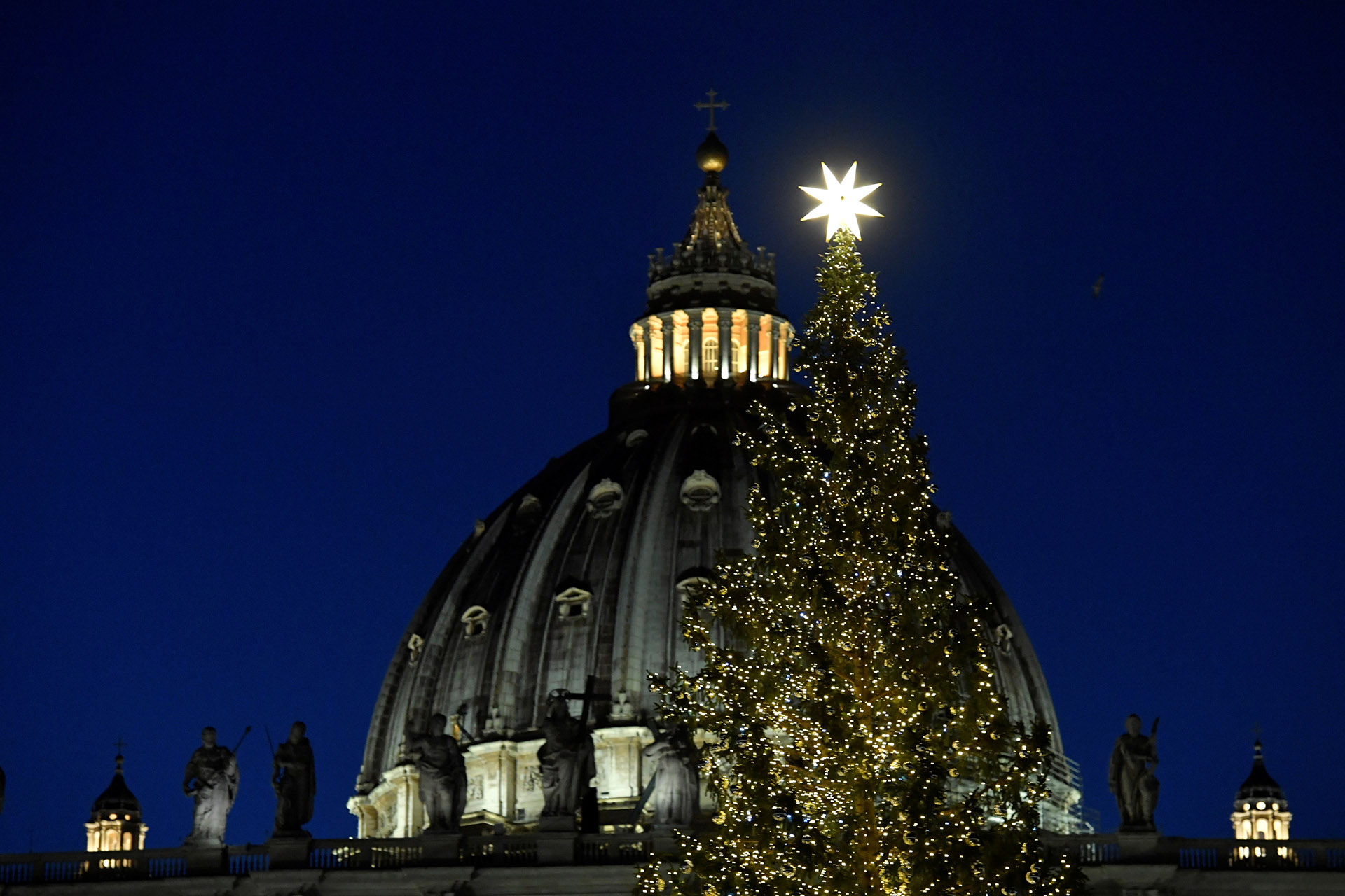 El árbol de navidad que luce el Vaticano