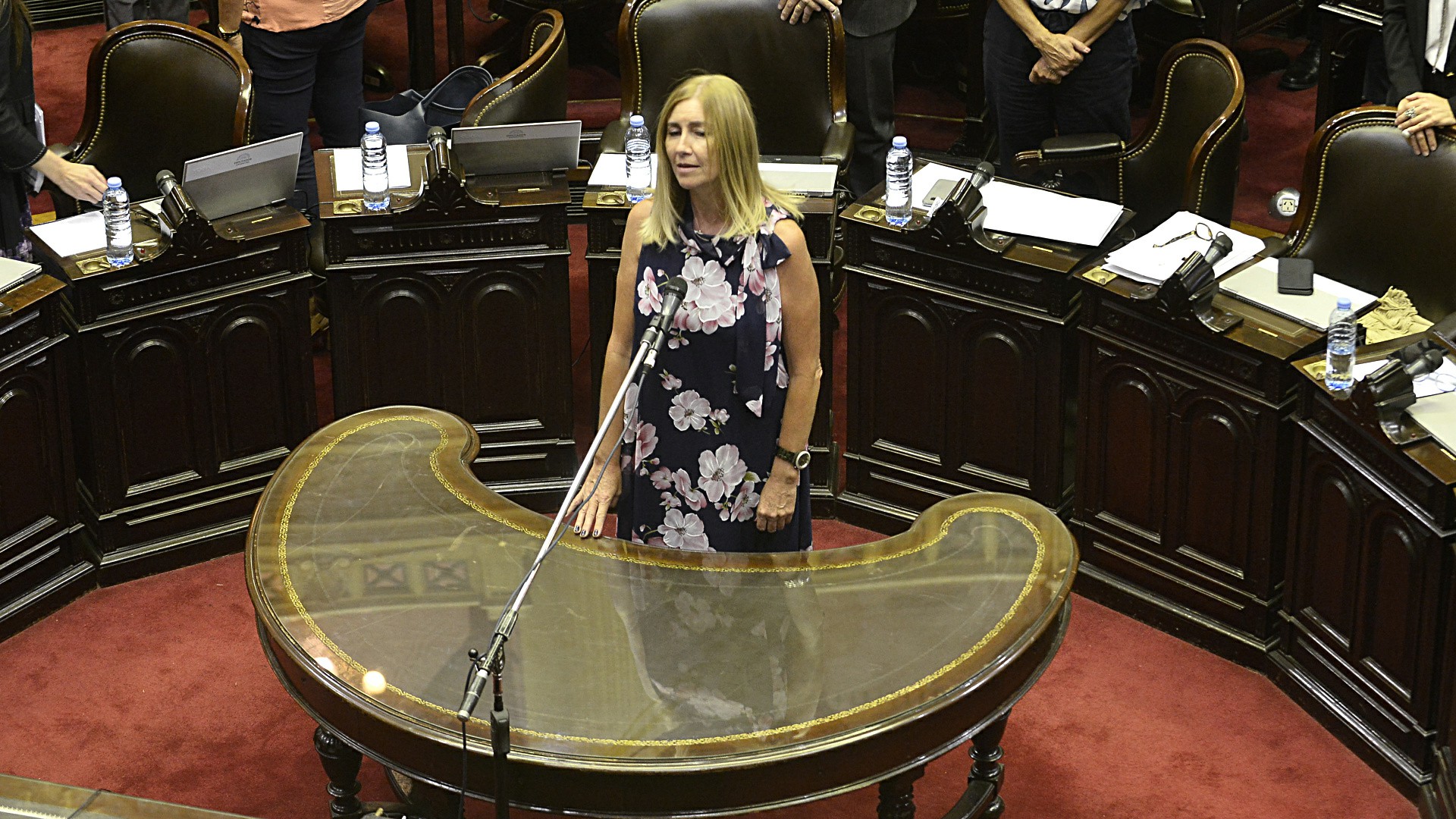 La jura de la legisladora oficialista Liliana Schwindt en reemplazo de Felipe Solá, que ejerce como Canciller