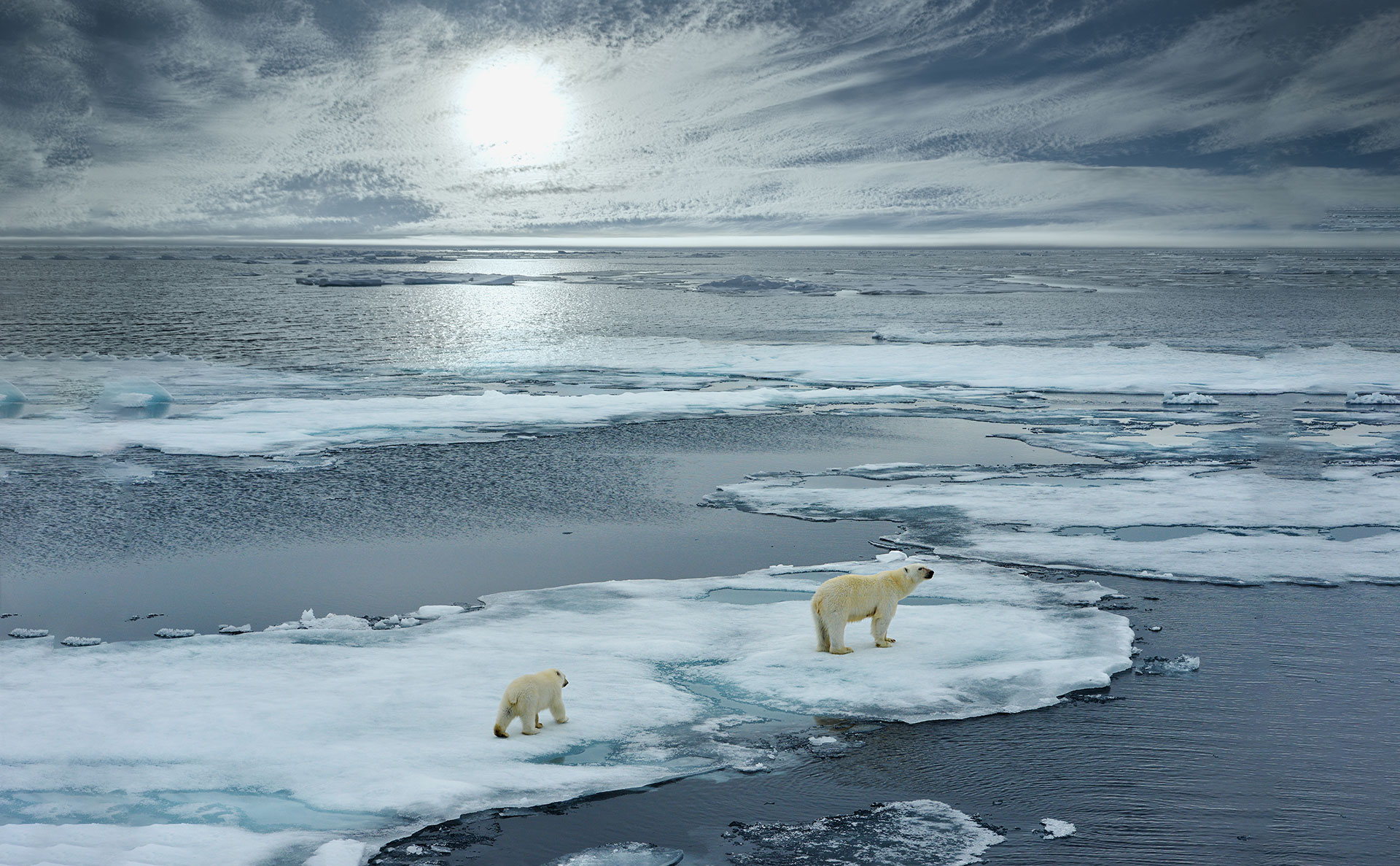 "La emergencia climática preocupa a los líderes mundiales, pero las medidas tomadas son insuficientes", advierten los científicos que confeccionan el Boletín del Reloj del Fin del Mundo 2020
